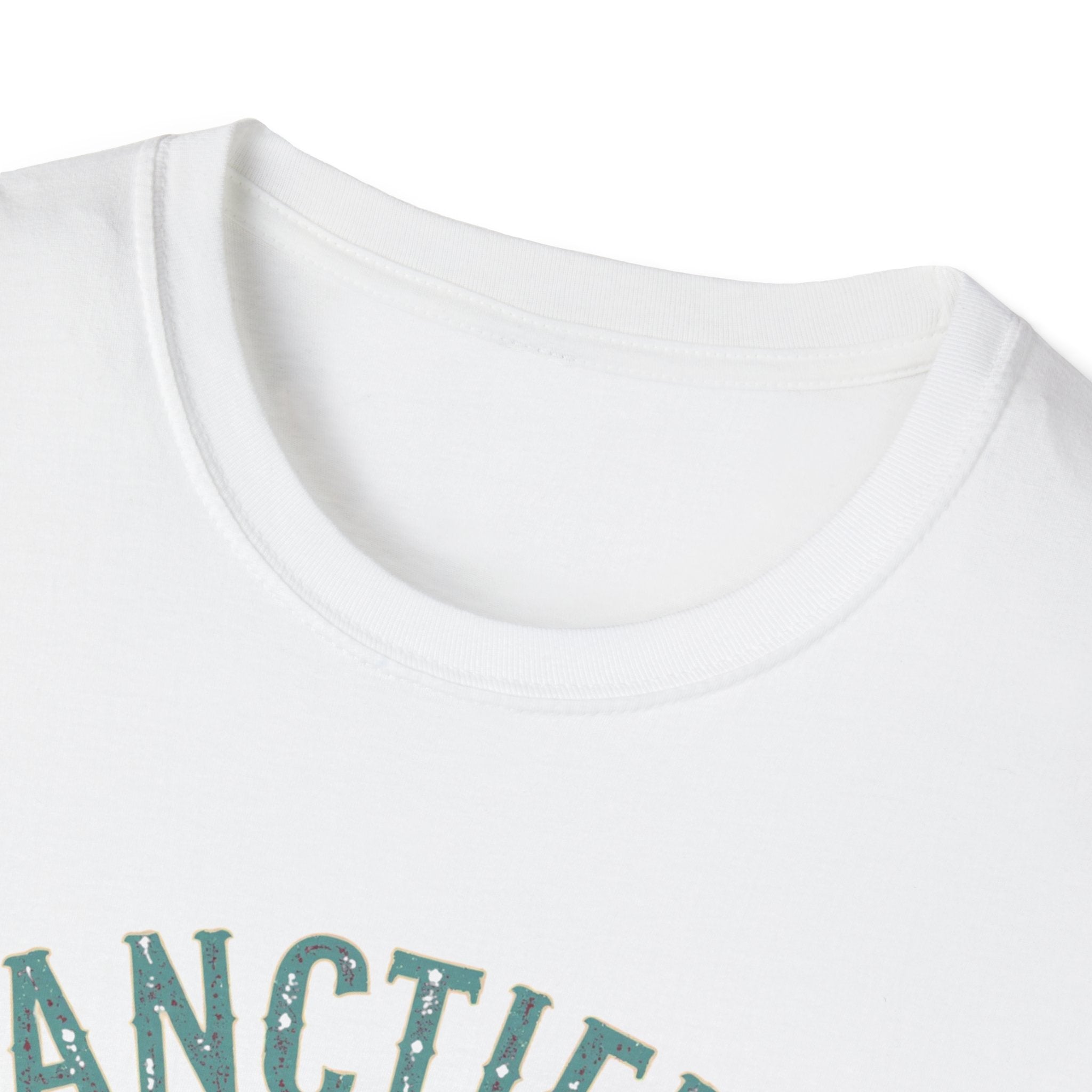 Sanctified & Slightly Spicy T-Shirt — Christian Faith with Fun Attitude